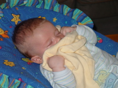 DSC07537.JPG