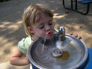 P7030210