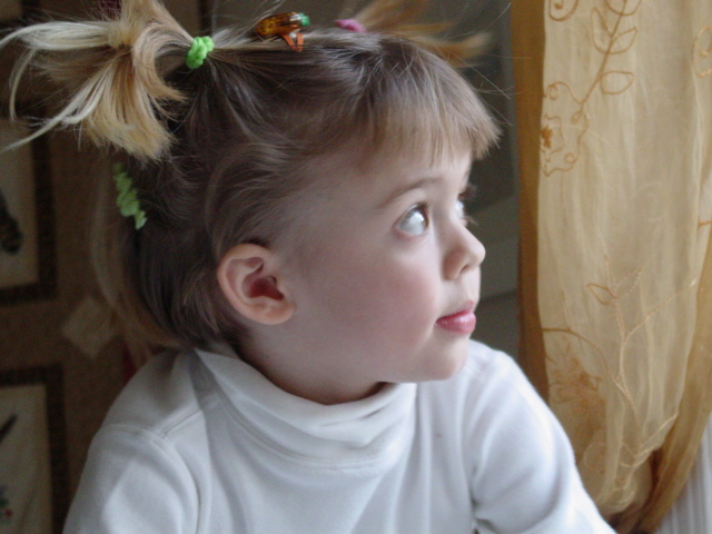 DSC08163.JPG