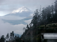 IMG_2434.JPG