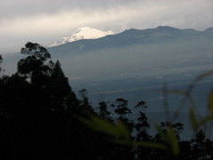 IMG_2557.JPG