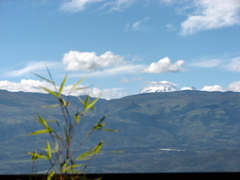 IMG_2586.JPG