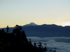 DSC00082.JPG