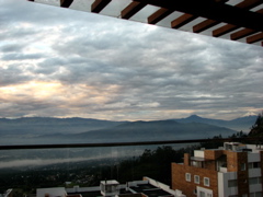 IMG_2479.JPG