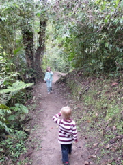 DSC00629.JPG