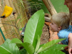 DSC00665.JPG