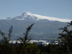 DSC00758.JPG