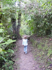DSC00628.JPG